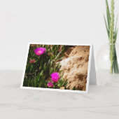 ホットントイチジクの地面に忍び寄る氷植物カード カード (正面)