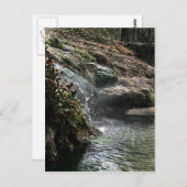 ホット春はがき ポストカード (正面/裏面)