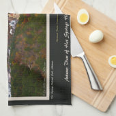 ホット春シティアンドナショナル・パーク100周年Ed キッチンタオル (四つ折り)