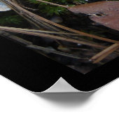 ホット春ズナショナルパーク，アーカンソー州 – 氷オーナメント ポスター (角)