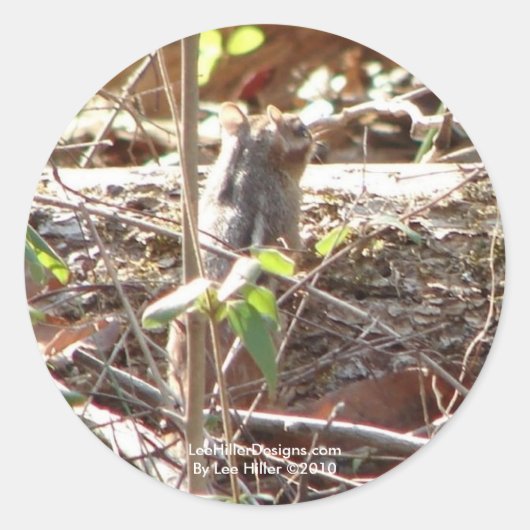 ホット春ズマウンテン、アーカンサスチップムンクギフト ラウンドシール (正面)