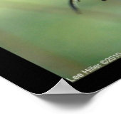 ホット春ナショナルパークアゲハチョウバタフライ ポスター (角)