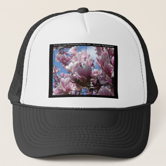 ホット春ナショナルパークARソーサーマゴニアギフト キャップ (正面)