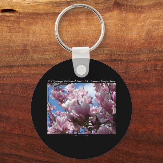 ホット春ナショナルパークARソーサーマゴニアギフト キーホルダー (正面)
