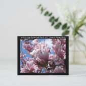 ホット春ナショナルパークARソーサーマゴニアギフト ポストカード (スタンド正面)