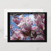 ホット春ナショナルパークARソーサーマゴニアギフト ポストカード (正面/裏面)