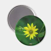 ホット春ナショナル・パーク森林ひまわりギフト マグネット (正面/裏面)