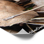 ホット春ナショナル・パーク・ワイルドフラワーバイリー・ヒラー ポスター (角)