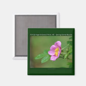 ホット春ナショナル・パークARワイルドバラ・ギフト マグネット (正面/裏面)