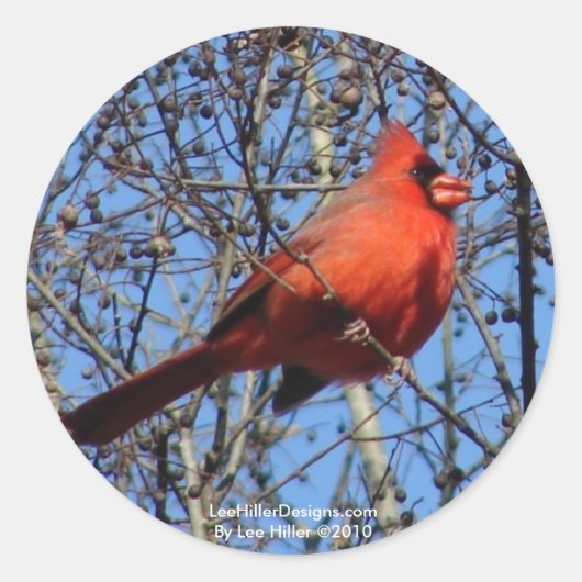 ホット春マウンテンプロムナード（鳥）ショウジョウコウカンチョウギフト ラウンドシール (正面)