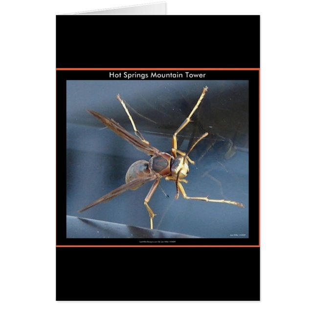 ホット春マウンテンワスプギフト&アパレル (正面)