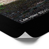 ホット春国立公園デッドチーフトレイルポスター ポスター (角)