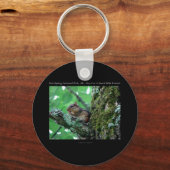 ホット春国立公園、ARチップムンクスナックギフト キーホルダー (正面)