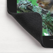 ホット春国立公園、ARチップムンクスナックギフト マウスパッド (コーナー)