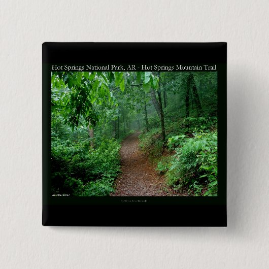 ホット春国立公園、ARフェージングフォグギフト 缶バッジ (正面)