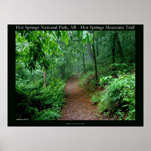 ホット春国立公園、ARフェードフォグポスター ポスター (正面)