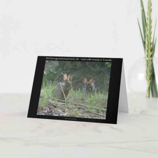 ホット春国立公園、ARワイルドウサギの贈り物 シーズンカード (正面)