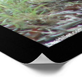 ホット春国立公園、ARワイルドウサギの贈り物 ポスター (角)