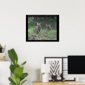 ホット春国立公園、ARワイルドウサギの贈り物 ポスター (ホームオフィス)