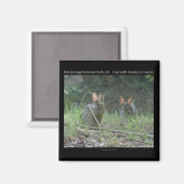 ホット春国立公園、ARワイルドウサギの贈り物 マグネット (正面/裏面)