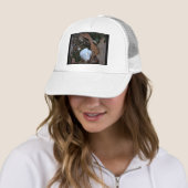 ホット春国立公園， AR – 氷のオーナメントギフト キャップ (インサイチュ)