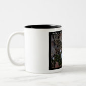 ホット春国立公園, AR – 氷のオーナメントギフト ツートーンマグカップ (左)