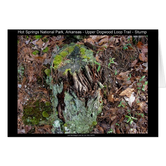 ホット春国立公園ARアッパードグウッドループ (正面横)