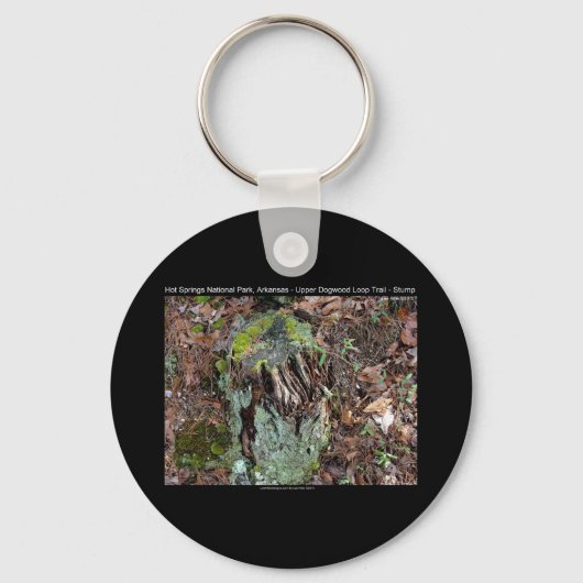 ホット春国立公園ARアッパードグウッドループ キーホルダー (正面)