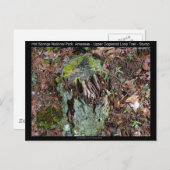 ホット春国立公園ARアッパードグウッドループ ポストカード (正面/裏面)