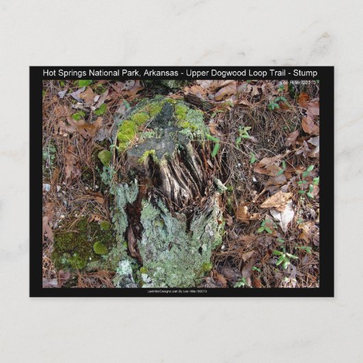 ホット春国立公園ARアッパードグウッドループ ポストカード (正面)