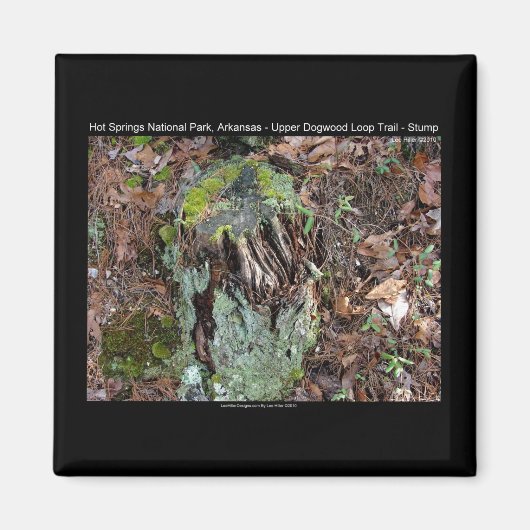 ホット春国立公園ARアッパードグウッドループ マグネット (正面)