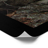 ホット春国立公園AR – ミスト静かト ポスター (角)