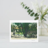 ホット春池の表示 ポストカード (スタンド正面)