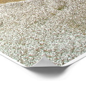 ホット春 ポスター (角)