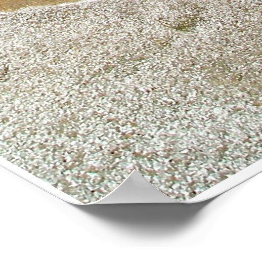 ホット春 ポスター (角)