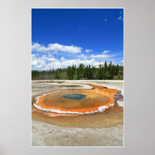 ホット春 ポスター (正面)