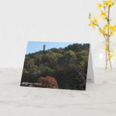 ホット春、ARタワー秋グリーティングカード カード (黄色い花)