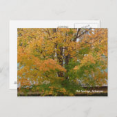 ホット春、AR紅葉はがき ポストカード (正面/裏面)