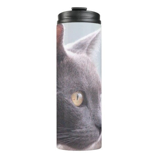 ホット物 タンブラー (正面)