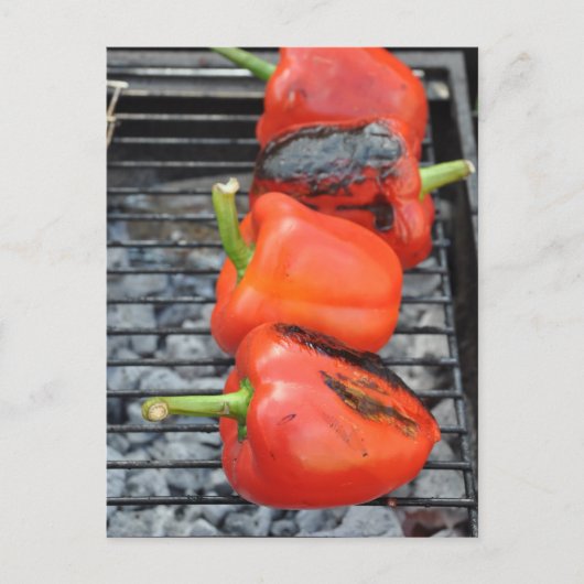 ホット物 ポストカード (正面)