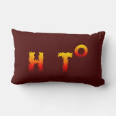 ホット |地球温暖化 ランバークッション (裏面)