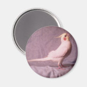 ホッパー磁石 マグネット (正面/裏面)