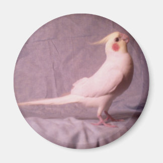 ホッパー磁石 マグネット