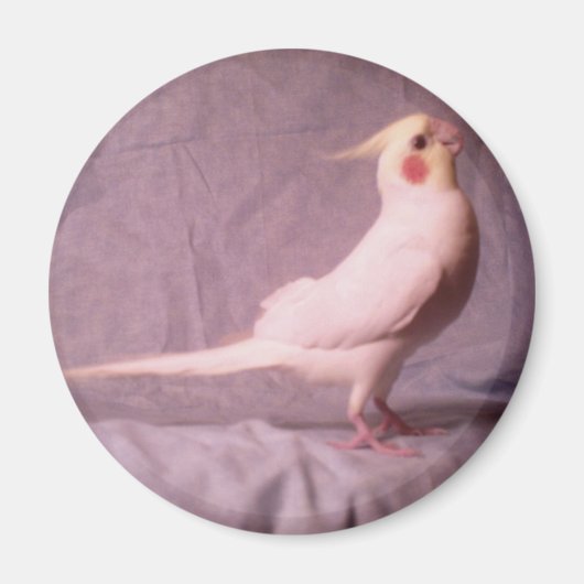 ホッパー磁石 マグネット (正面)