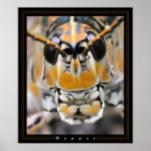 ホッパー ポスター (正面)