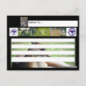 ホッピングオのまわりにーストラリアKangarooはがき ポストカード (裏面)