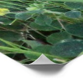 ホッピー・バニー ポスター (角)