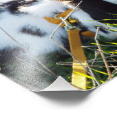 ホッピー フォトプリント            (角)