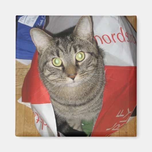 ホッブズ マグネット (正面)