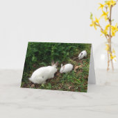 ホップの豊富な母の日 カード (黄色い花)